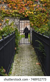 Monk Walking Away From Gate At Bernadine Church.  Old Brick Wall Surrounding Monastery Covered In Autumn Leaves.