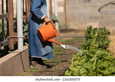 Monk Working In The Convent Garden