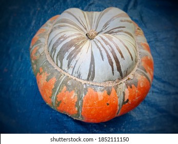 Monkey butt  - Turban Squash pumpkin with beautiful form and colors texture