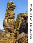 Monkey Face is one of the best known of all the rain and wind shaped Millstone Grit rocks that have survived for millions of years and form the geological wonder that is Brimham Rocks near Harrogate