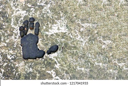 Monkey Foot Print