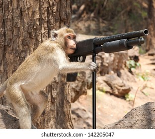 monkey-gun-260nw-142205047.jpg