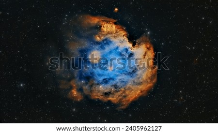 The Monkey Head Nebula
NGC 2174