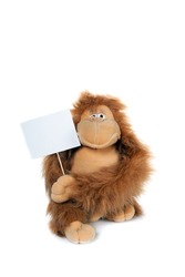 Monkey Holding A White Card Isolated On White Background