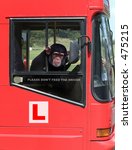 Monkey Learner Driver