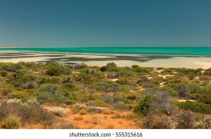 Monkey Mia, Western Australia