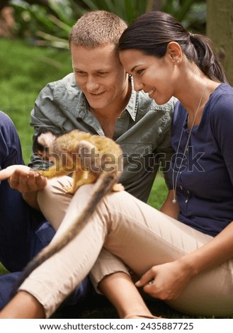 Monkey, nature and park with couple at zoo together for outdoor activity or interactive experience. Date, love or smile with happy young man and woman bonding at animal sanctuary for sustainability