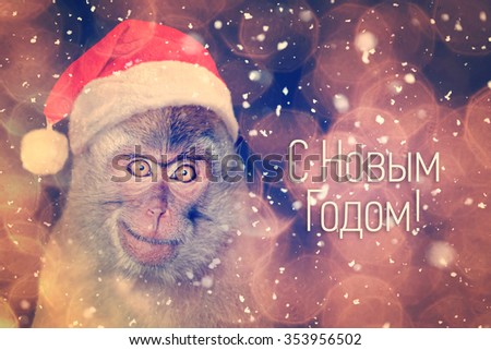 Monkey with a red cap on his head and the words 