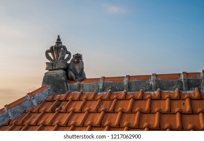 Monkey sitting on a roof of Uluwatu temple in Bali during sunset