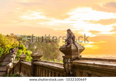 The monkey at Uluwatu Temple at sunset, Kuta South, Bali, Indonesia