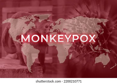 Monkeypox New Disease Dangerous Over The World. Monkeypox Virus. Red Background. Virus Transmitted To Humans From Animals. Pox Virus. Smallpox.  Pandemic. World Map.