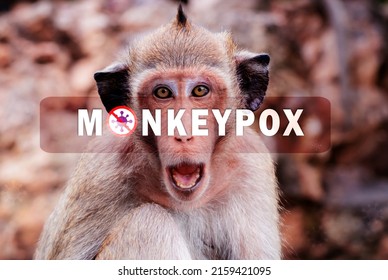 Monkeypox outbreak concept. Monkeypox is caused by monkeypox virus. Monkeypox is a viral zoonotic disease. Virus transmitted to humans from animals. Monkeys may harbor the virus and infect people. - Shutterstock ID 2159421095