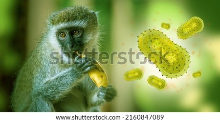 Monkeypox outbreak concept. Monkeypox is a viral zoonotic disease. Monkeypox outbreak, MPXV virus. The spread of the disease from wild animals. The virus flies around the monkey.