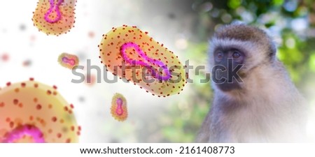 Monkeypox outbreak concept. Monkeypox is a viral zoonotic disease. Monkeypox outbreak, MPXV virus. The spread of the disease from wild animals. The virus flies around the monkey.