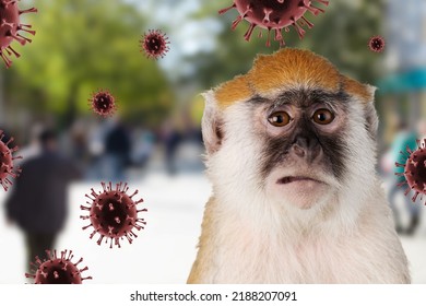 Monkeypox outbreak, MPXV virus, infectious disease spreading, zoonotic disease.