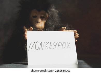 Monkeypox virus concept. Monkey toy holding sign with word MONKEYPOX.