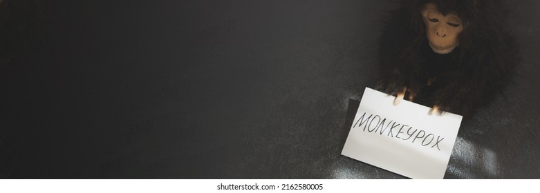 Monkeypox virus concept. Monkey toy holding sign with word MONKEYPOX. Banner