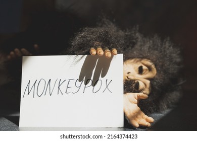 Monkeypox virus concept. Monkey toy holding sign with word MONKEYPOX.