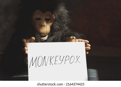 Monkeypox virus concept. Monkey toy holding sign with word MONKEYPOX.