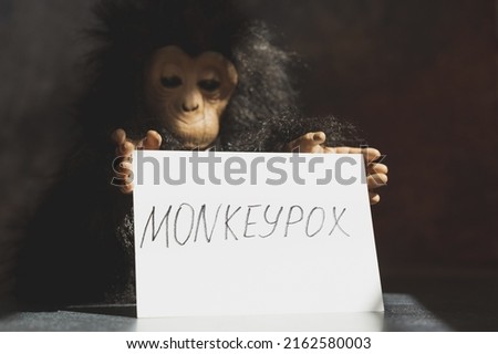 Monkeypox virus concept. Monkey toy holding sign with word MONKEYPOX.