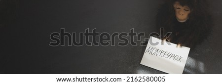 Monkeypox virus concept. Monkey toy holding sign with word MONKEYPOX. Banner