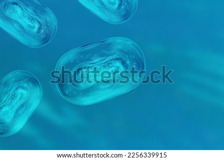 Monkeypox virus model. Concept of searching for antibodies to Monkeypox virus. Anti-Monkeypox Virus VACV-5C7 antibodies. Mutated monkey fever. Model Monkey pox bacteria on blue background.