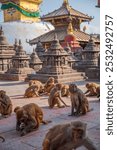 monkeys in the ruins of Buddhist temples in Kathmandu