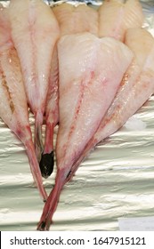 Monkfish, Lophius Piscatorius, Fresh Fish   