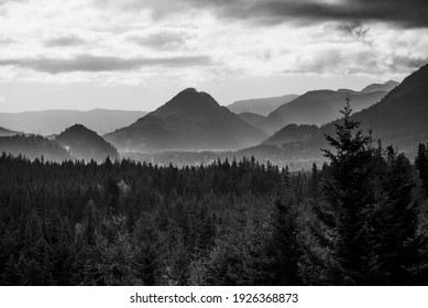 Mono Landscape From Stampede Pass, Washington.