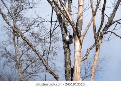 A monochromatic bird sits on a twig in a freezing natural landscape - Powered by Shutterstock