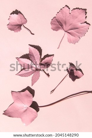 Monochromatic fall concept. Light pink leaves on pastel background. Minimalistic autumn composition. Nature flat lay idea.