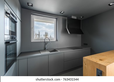 Monochromatic Gray Contemporary Kitchen With Modern Inox Equipment