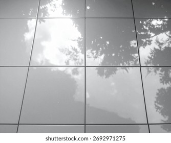 A monochromatic image capturing a reflection of trees and clouds on a tiled surface, creating a serene and calming effect.
