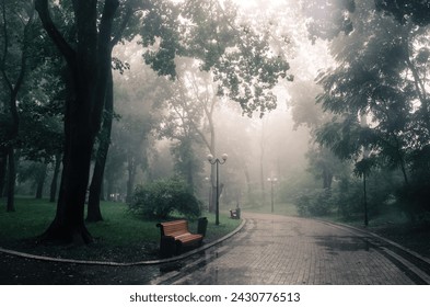 Monochromatic portrayal of cityscapes veiled in mist. The ethereal embrace of fog whispers a silent tale, painting urban landscapes with a touch of mystery and timeless beauty. - Powered by Shutterstock