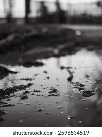 Monochrome close-up of puddle reflections capturing abstract shapes and light on a textured ground. High quality photo