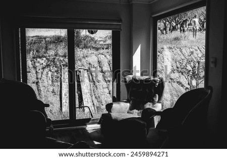 Similar – Image, Stock Photo Shadow play through a glass door