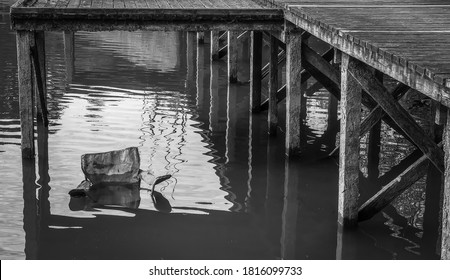 Monochrome image of an abandoned fishing chair, partially submerged in a reservoir underneath a rustic wooden boardwalk. Textured landscape image, with space for copy. England. - Powered by Shutterstock