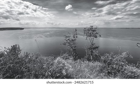 Monochrome Landscape Trees Water Horizon Wide Shot - Powered by Shutterstock