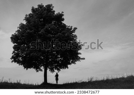 Monochrome photo of the Silhouette of a girl who stands far under a beautiful lush tree, looks straight into the distance into the sky