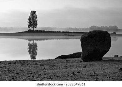 Monochrome photo of a solitary tree reflected in a calm lake with a large rock in the foreground on a misty morning. - Powered by Shutterstock