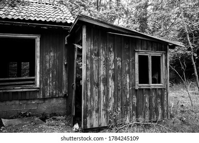 Monochrome Photograph Of An Abandoned House In The Woods