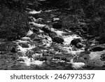 A monochrome picture of an upstream creek branch meeting the river. Scattered stones disrupt the flow, creating a rough passage. The upstream water forms a small waterfall at the convergence.