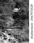 A monochrome picture of an upstream creek branch meeting the river. Scattered stones disrupt the flow, creating a rough passage. The upstream water forms a small waterfall at the convergence.