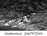 A monochrome picture of an upstream creek branch meeting the river. Scattered stones disrupt the flow, creating a rough passage. The upstream water forms a small waterfall at the convergence.