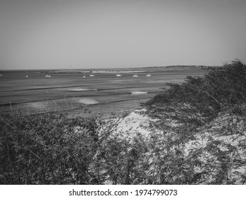 Monochrome tropical view in Cape Verde. Dense bushes growing on a sand dune, small boats and yachts floating in the marine. Selective focus on the horizon, blurred background. - Powered by Shutterstock