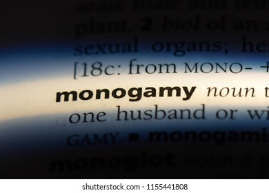 Monogamy Word In A Dictionary. Monogamy Concept.