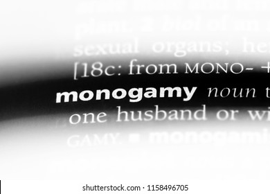 Monogamy Word In A Dictionary. Monogamy Concept.