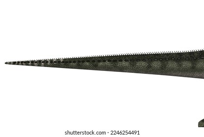 monolophosaurus' dinosaur in different poses on a white background - Shutterstock ID 2246254491