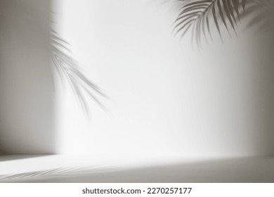 Monotone background wall with palm tree leaf shadows
					