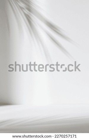 Monotone background wall with palm tree leaf shadows
